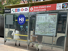 bus line h8 in Barcelona