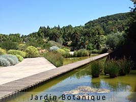Jardin botanico de Barcelona